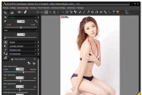 silkypixdeveloperstudiopro截图1