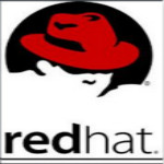 红帽子linux系统 v9.0 简体中文版