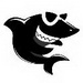 黑鲨装机大师软件 v11.5.46.1325 官方版