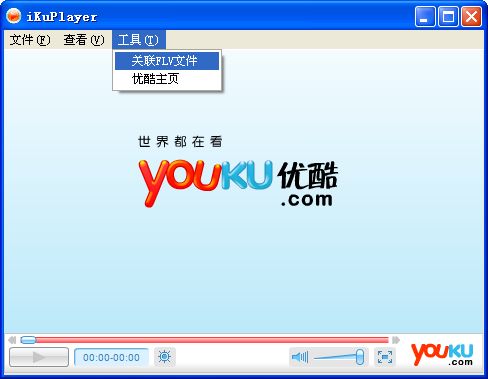 flv播放器截图1