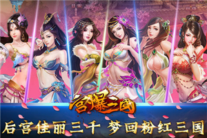 宫爆三国截图4