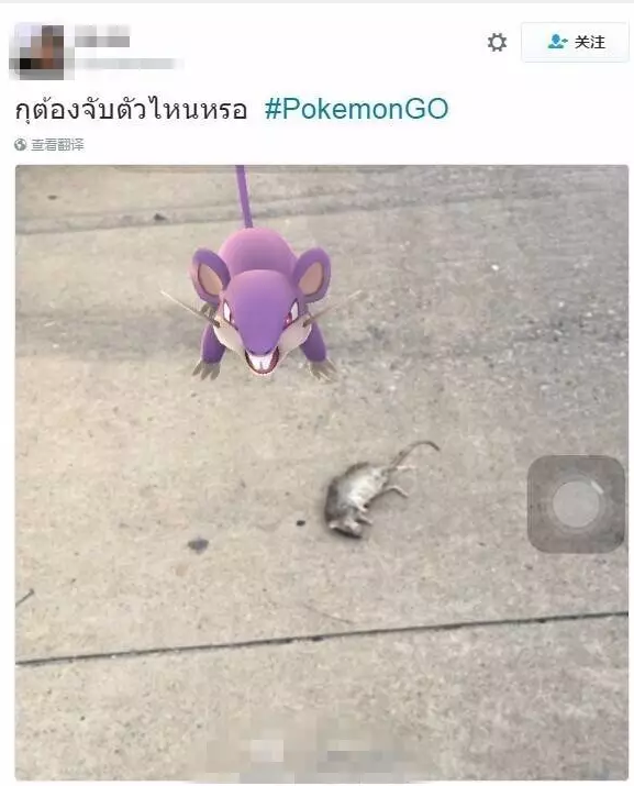 都是Pokemon Go惹的祸！澳洲警察局被人日闯十八回