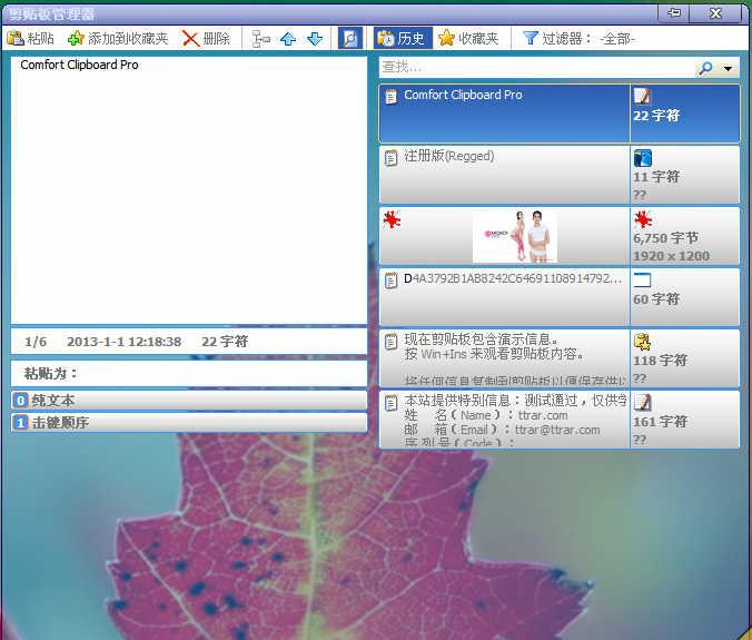 ComfortClipboardPro截图1