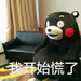 熊本熊表情包 v1.0 免费版