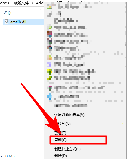 amtlib_dll2