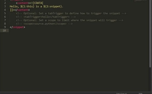 Sublime text3