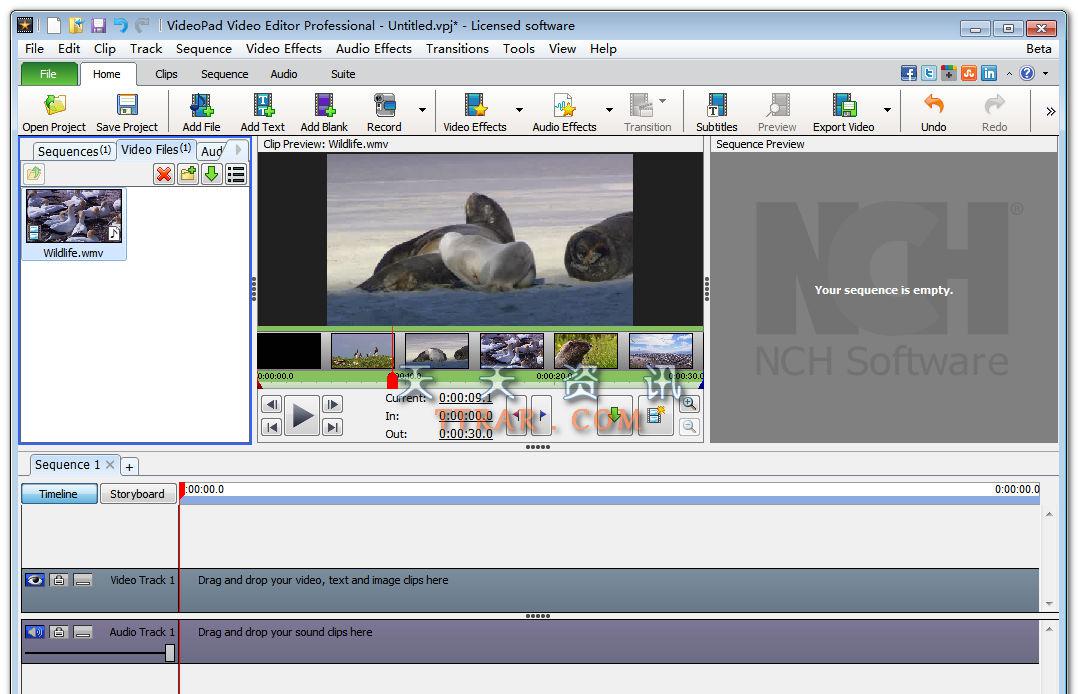 NCHVideoPadVideoEditorProfessionalv4.00破解版截图1