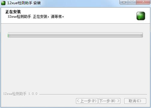 12xue检测助手