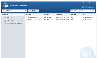 Wise Data Recovery(免费数据恢复软件)