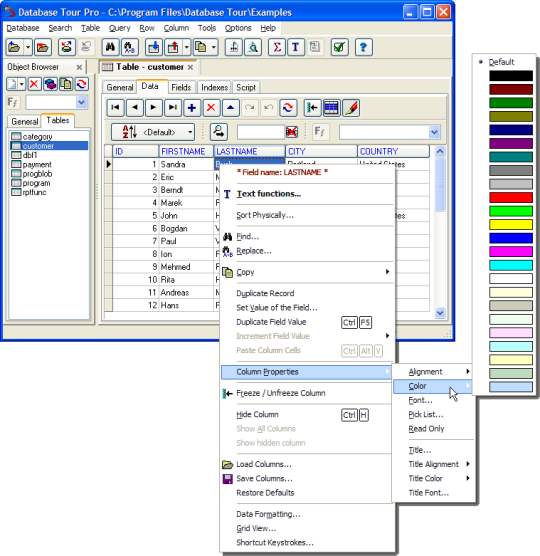 数据库编辑工具(Database Tour Pro)