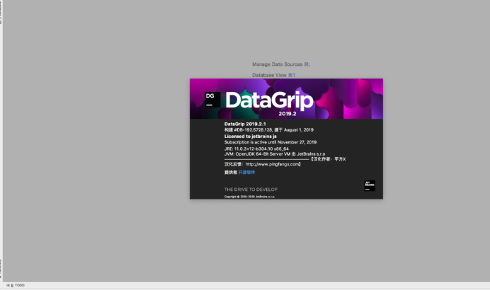 JetBrains DataGrip(数据库管理工具)