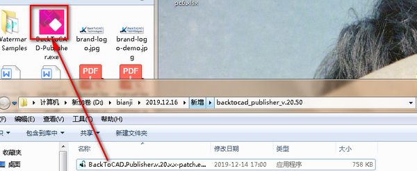 BackToCAD Publisher(CAD转换器)