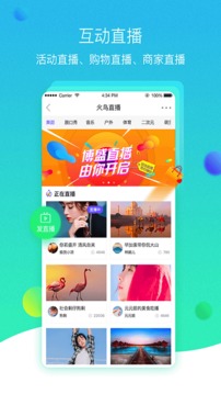 火鸟门户截图1