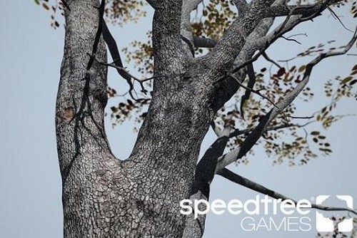 speedtree Games Indie(3D设计工具)