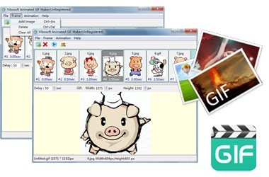Vibosoft Animated GIF Maker(GIF制作软件)