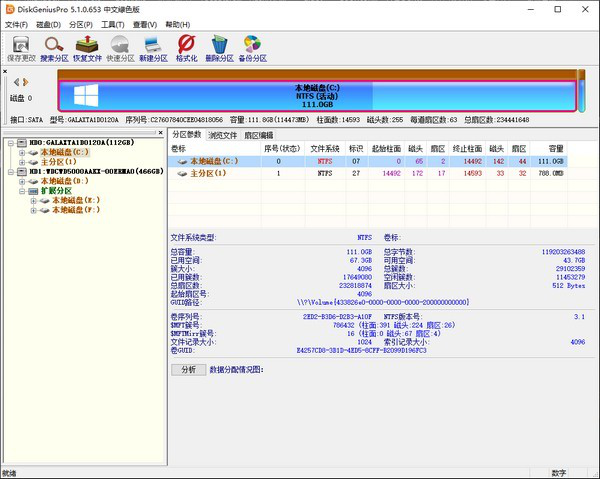 DiskGenius Pro(硬盘修复工具)