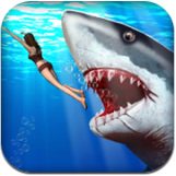 鲨鱼猎人3D v1.7 