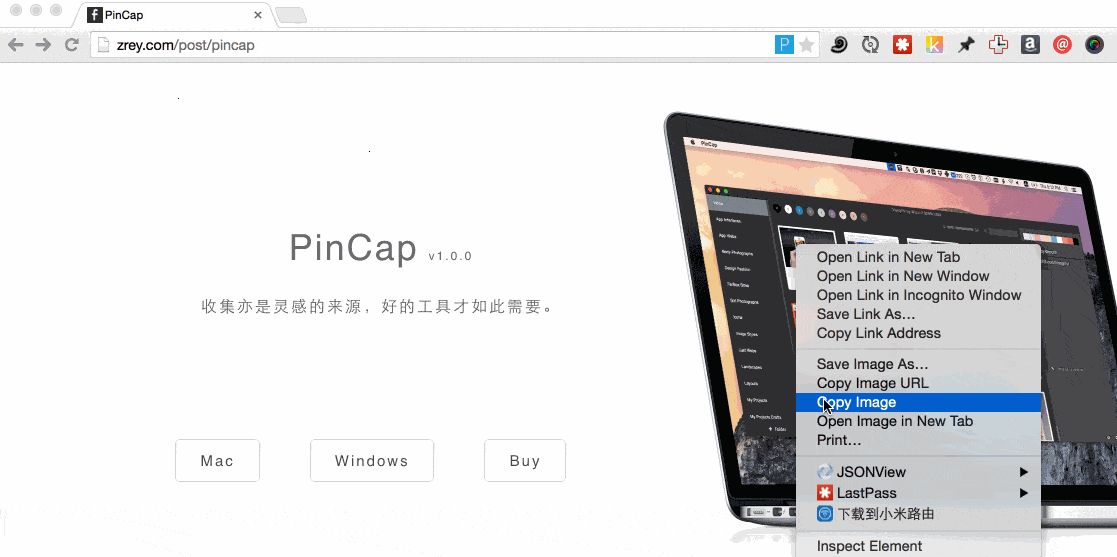 PinCap(网页图片云储存)