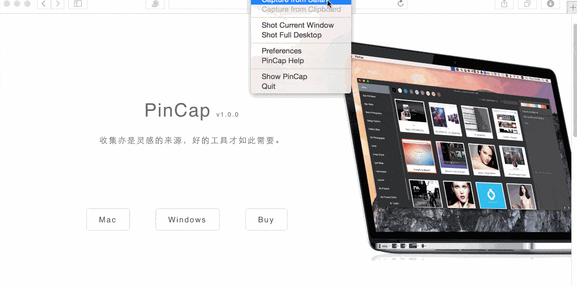 PinCap(网页图片云储存)
